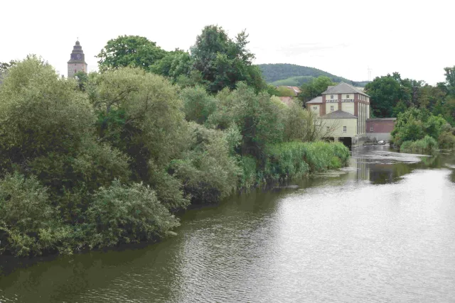 Heringen 6