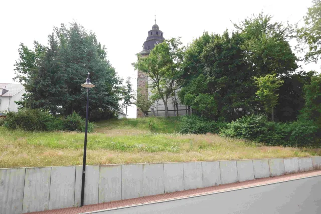 Heringen 5