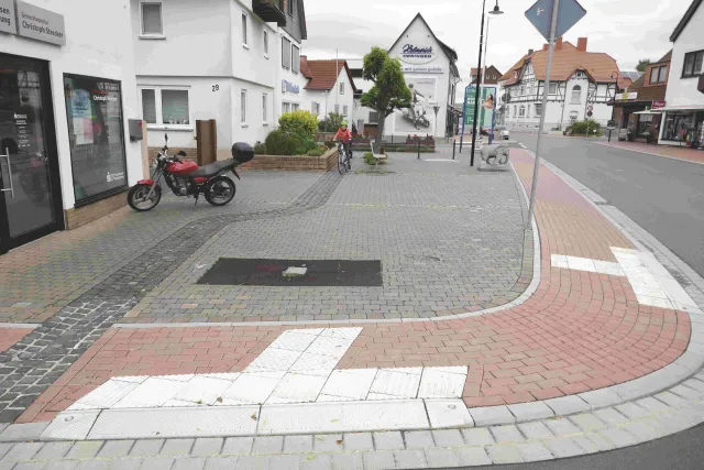 Heringen 4