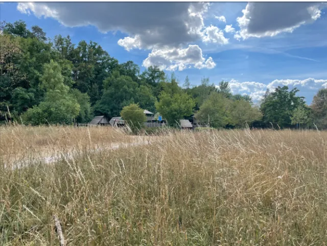Naturräume durchziehen die Stadt